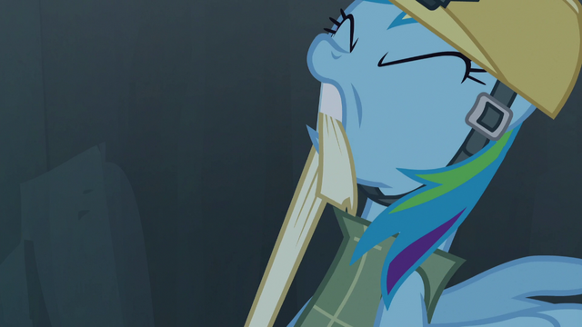 File:Rainbow tightens bandage S5E8.png