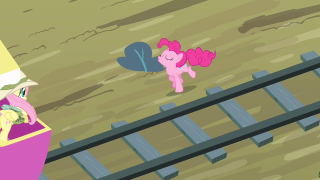 File:Pinkie Pie 'I'll never forget youuuuuuu!' S4E11.png
