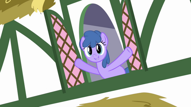 File:Window ponies 2 S2E18.png