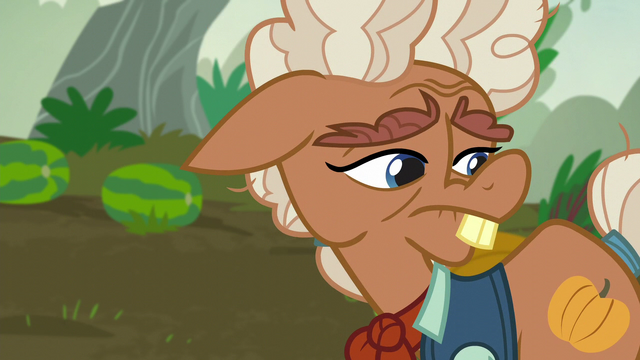 File:Ma Hooffield "all it took was a little pebble" S5E23.png