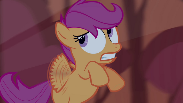File:Scootaloo looks at something S3E06.png