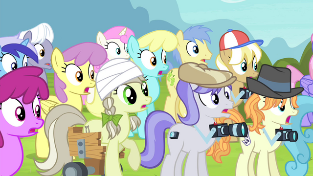 File:Ponies in shock S4E20.png