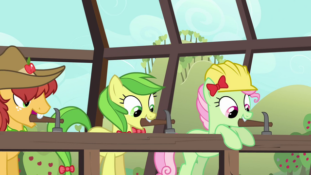 File:Apple family hammering together S3E8.png