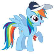 FANMADE Rainbow Dash Coach