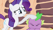 Rarity shaking Spike's head S02E21.png