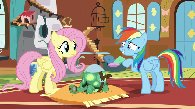 File:Rainbow "Whatever" S5E5.png