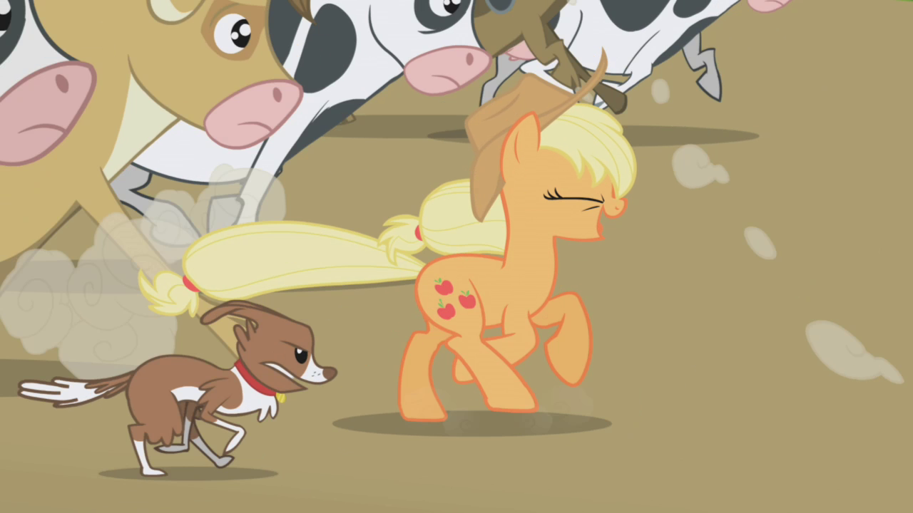 Winona  My Little Pony Friendship is Magic Wiki  FANDOM 