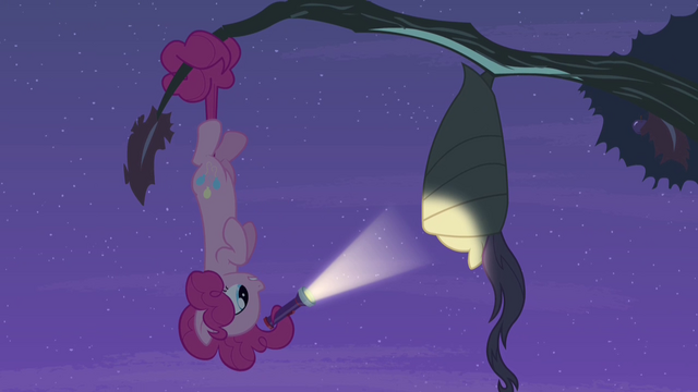 File:Pinkie Pie and Fluttershy hanging upside-down S4E07.png