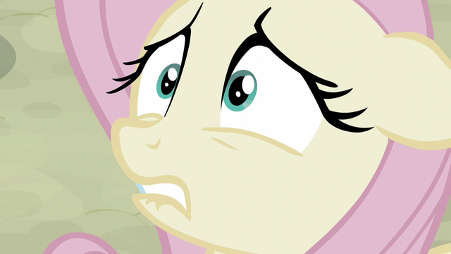 File:Fluttershy very nervous S5E02.png