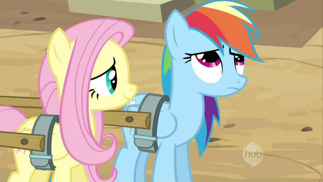 File:Fluttershy looking at Dash S2E14.png