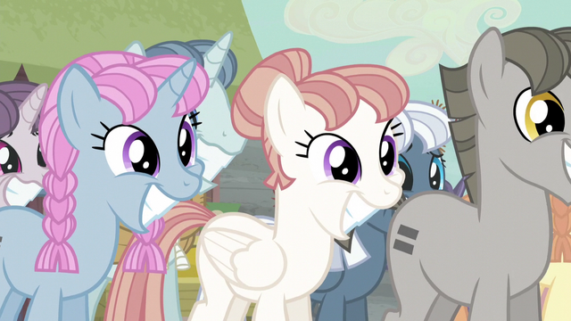 File:Equalized ponies smiling S5E02.png