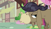 Cranky Mumbles Doodle S02E18.png