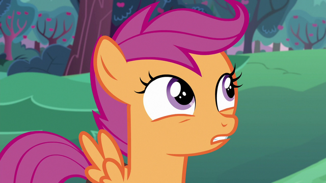 File:Scootaloo "practically" S6E14.png