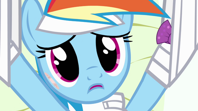 File:Rainbow Dash touched by Fluttershy's words S4E10.png