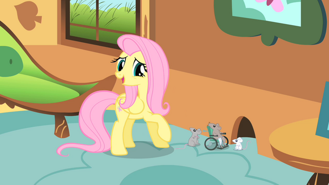 File:Fluttershy its nothing S01E22.png