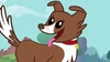 Winona ID.png