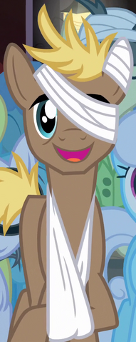 File:Dirtbound ID S4E20.png