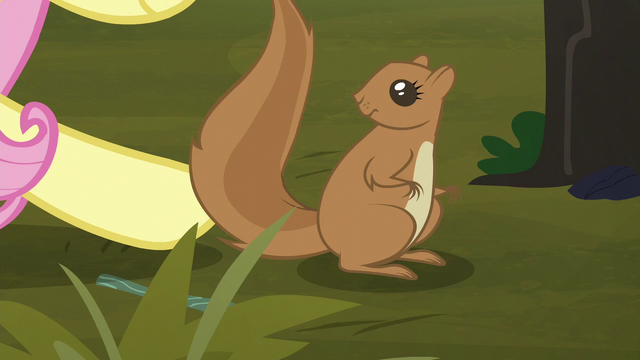 File:Fluttershy brings the squirrel to safety S5E23.png
