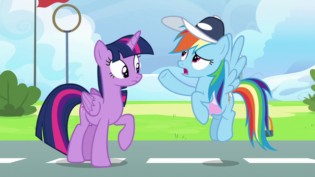 File:Rainbow Dash "Sky obviously has no idea" S6E24.png