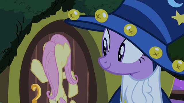 File:Twilight and Fluttershy S02E04.png