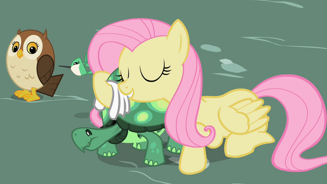 File:Fluttershy with Tank S2E07.png