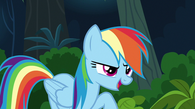 File:Rainbow Dash "in half the time Daring Do can!" S6E13.png