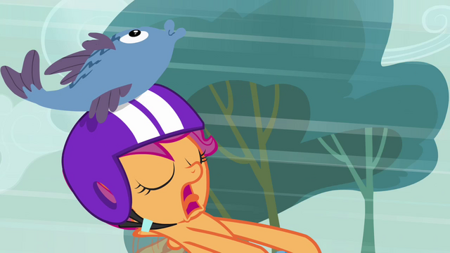 File:Scootaloo with a fish on her head S3E6.png