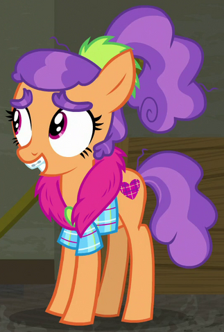File:Plaid Stripes ID S6E9.png