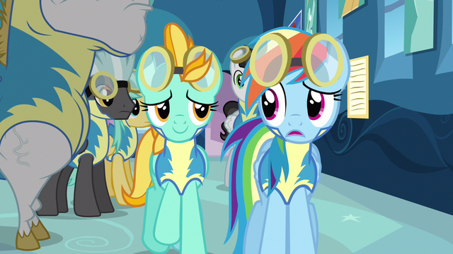 File:Rainbow Dash & partner S3E7.png
