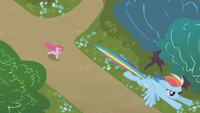 Not now pinkie S1E5.png