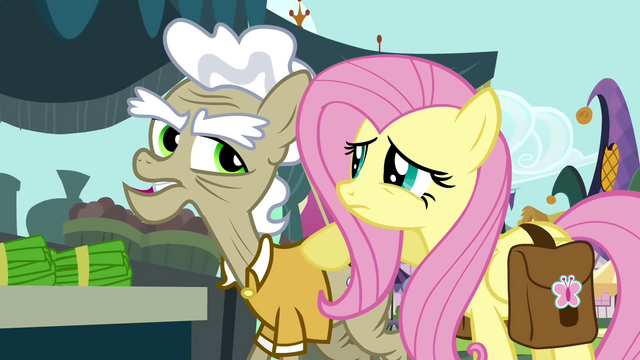 File:Fluttershy "Um..." S2E19.png