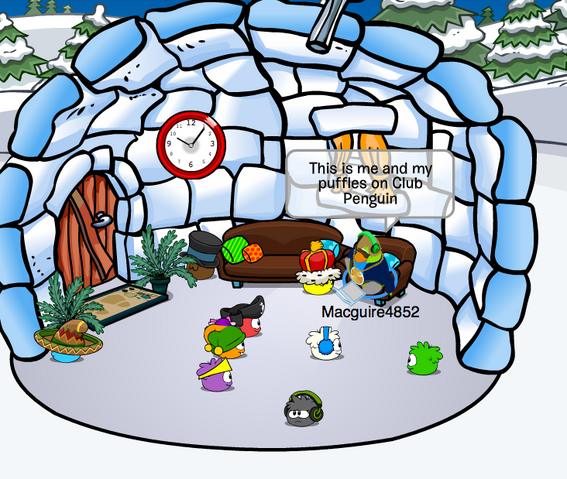 File:Macguire4852 Club Penguin.png