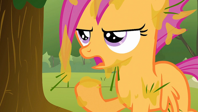 File:Scootaloo covered in tree sap 2 S1E23.png