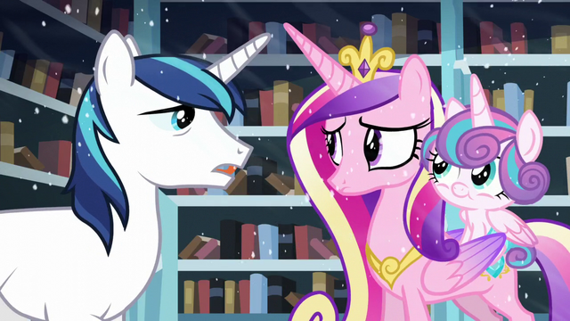 File:Shining Armor "We will" S6E2.png