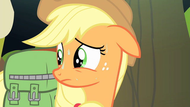 File:Applejack looks behind S4E17.png