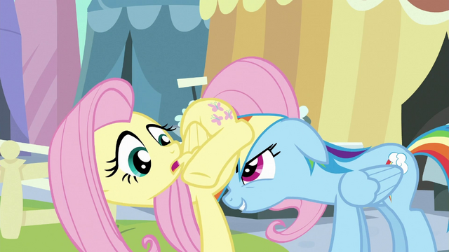 File:Rainbow Dash headbutts Fluttershy S3E2.png