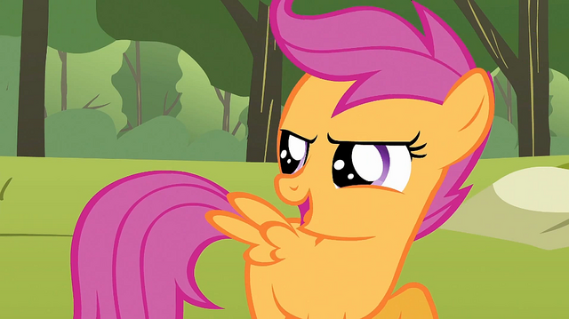 File:Scootaloo 'The greatest flyer ever to come out of Cloudsdale' S1E23.png