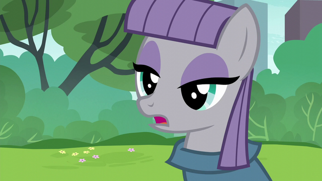 File:Maud Pie "little pieces of cupcake-scented paper" S6E3.png