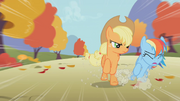 Applejack bate em Rainbow Dash T01E13.png
