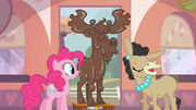 Mousse Moose.jpg