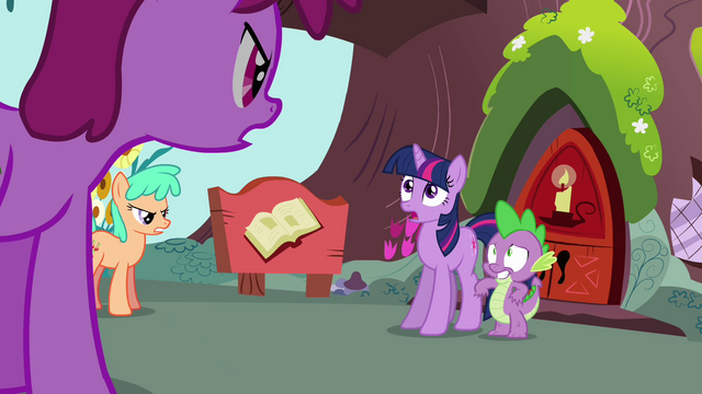 File:Twilight 'Please everypony' S3E03.png