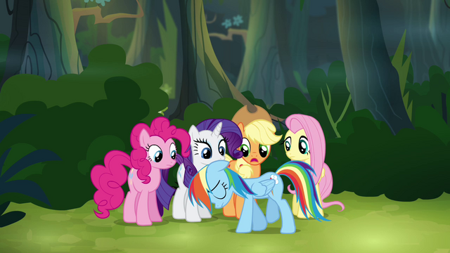 File:Main ponies "we can't go back now" S4E04.png