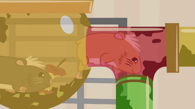 File:Hamsters inside habitat EG2.png