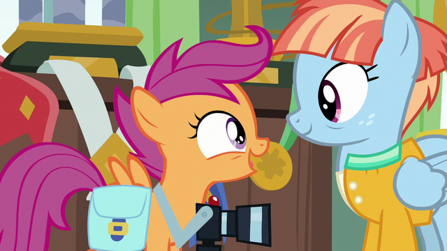 File:Scootaloo "trade-sies?" S7E7.png