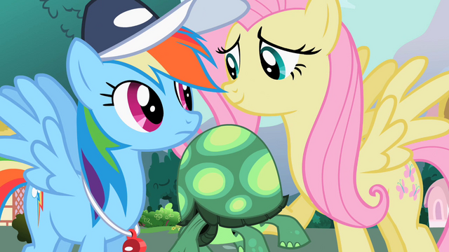 File:Fluttershy "It won't hurt to let him try" S2E7.png