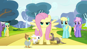 Fluttershy being purposeful S2E22