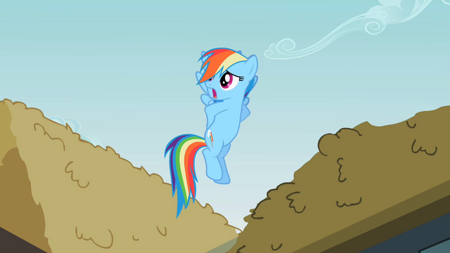 File:Rainbow Dash 'And I guess' S2E08.png