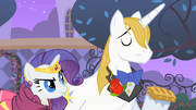 Rarity and Blueblood -at least SOMEPONY has good manners- S01E26.png