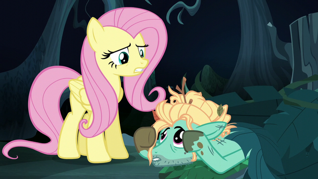 File:Fluttershy "you're smart and talented" S6E11.png
