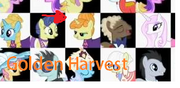 Mlp cuadro.png